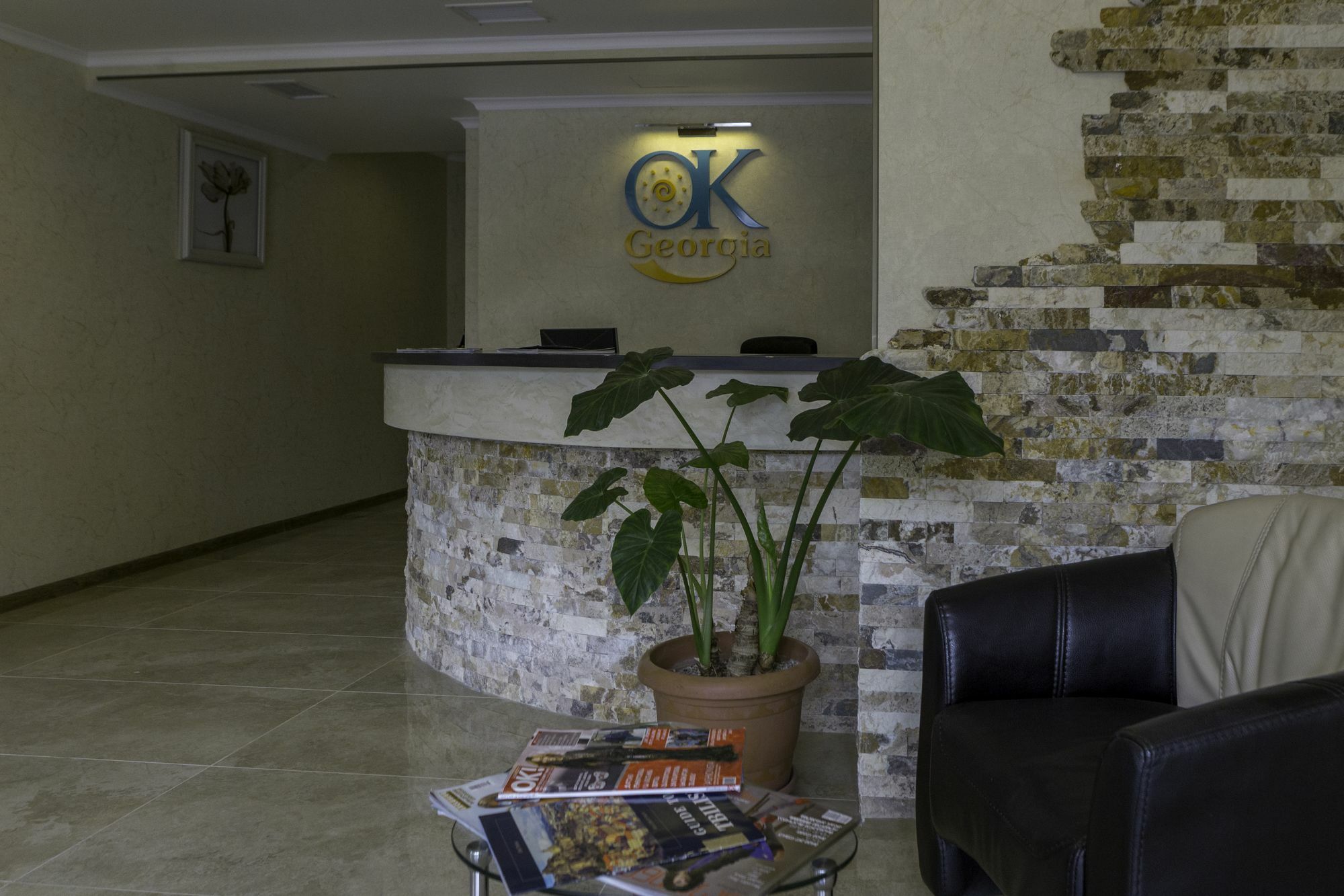 Hotel Ok Georgia Tbilisi Esterno foto